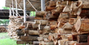 Suministro de madera para la Construcción y Reparación de Casas de Curado de Tabaco (Ranchos)