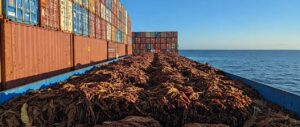 Carta de No Objeción para la Importación de Tabaco