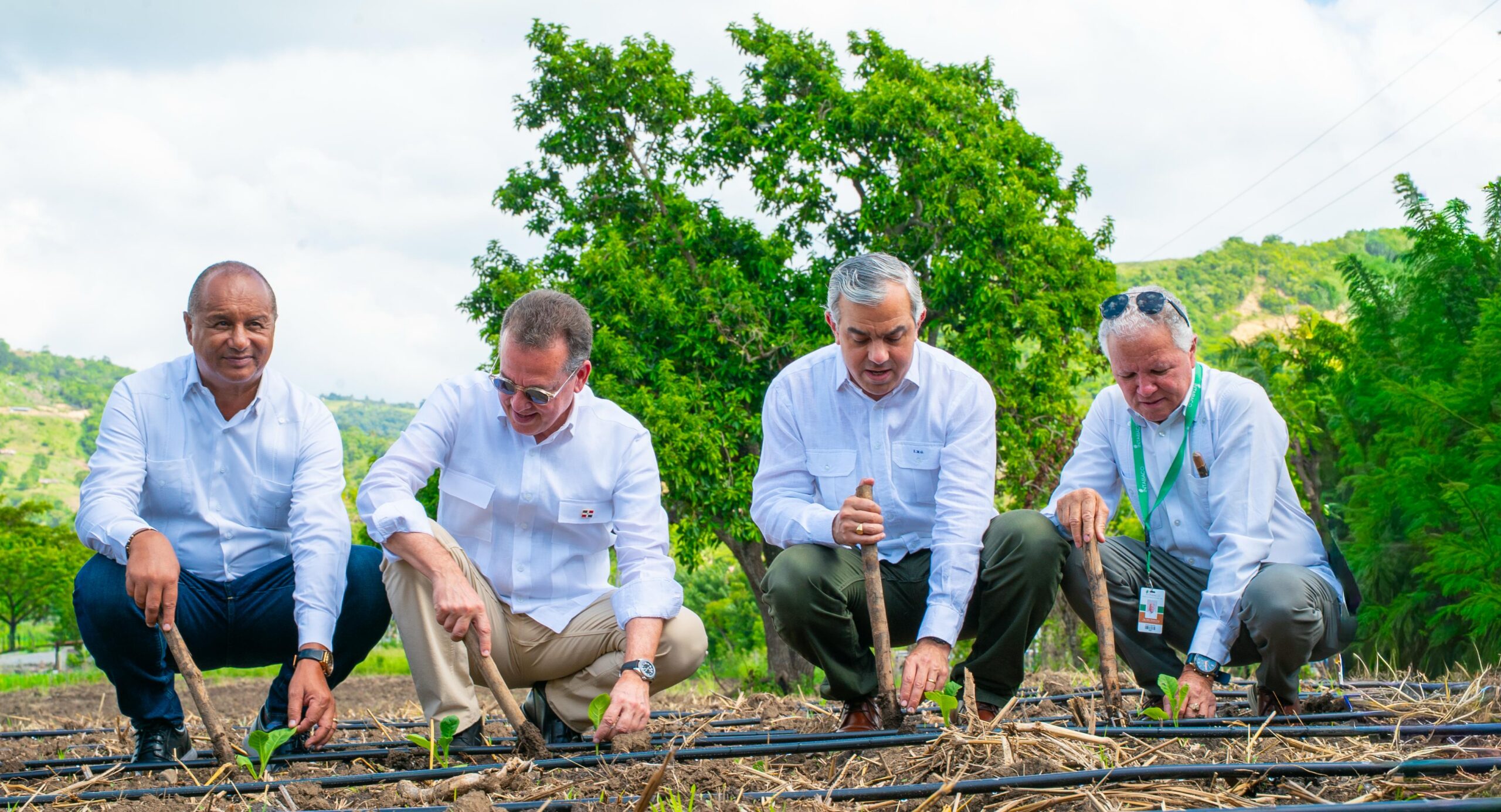 INTABACO inicia Cosecha Tabacalera 2025-2026 con siembra de más de 160 mil tareas
